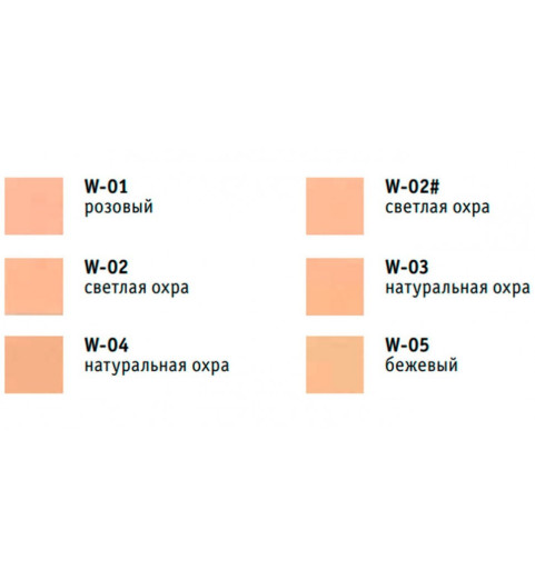 Salon de Flouveil Foundation / Компактная пудра для лица, 10 г Salon de Flouveil Foundation / Компактная пудра для лица, 10 г